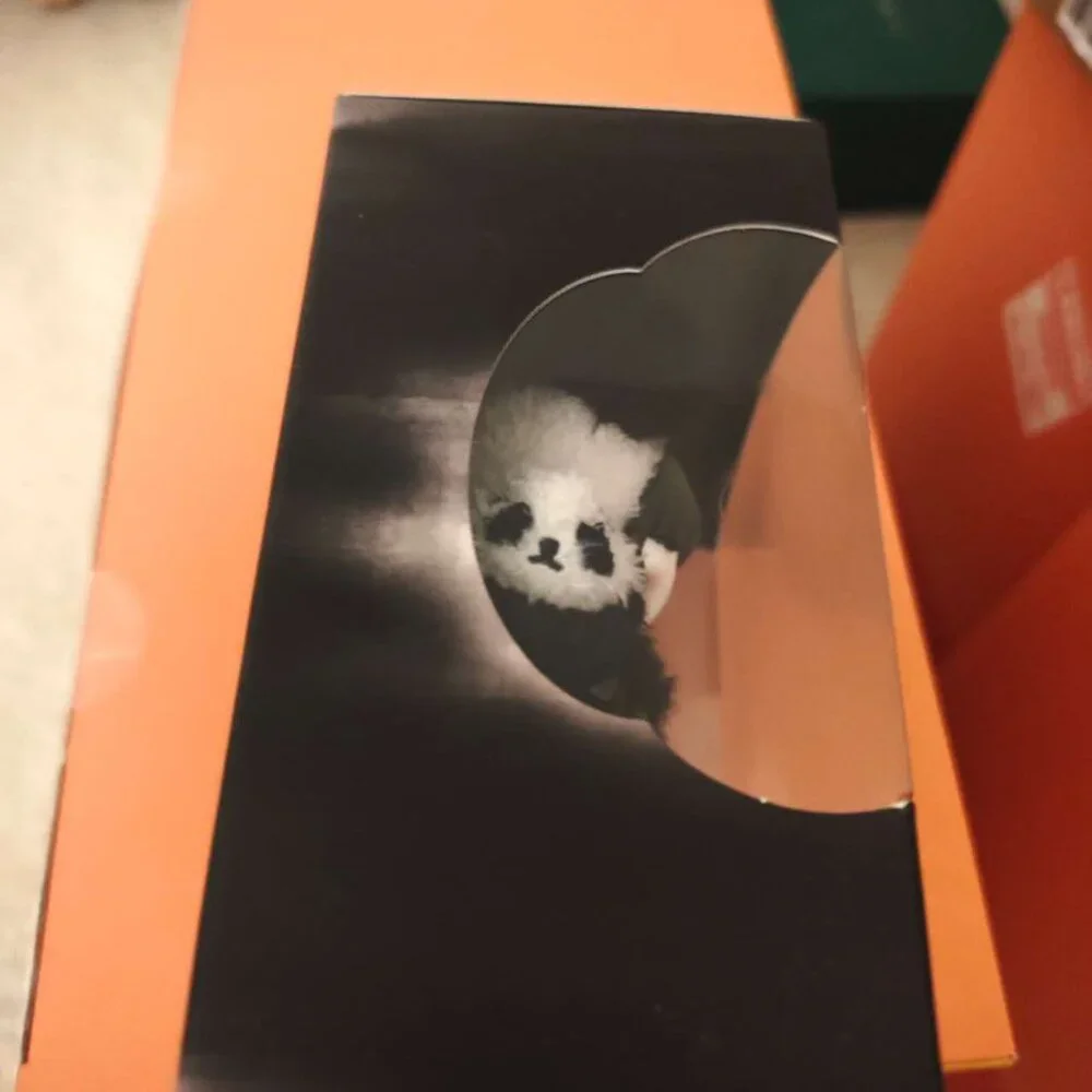 SKULLPANDA Lazy Panda Plush Doll Pendant - Sealed - Picture 5 of 5